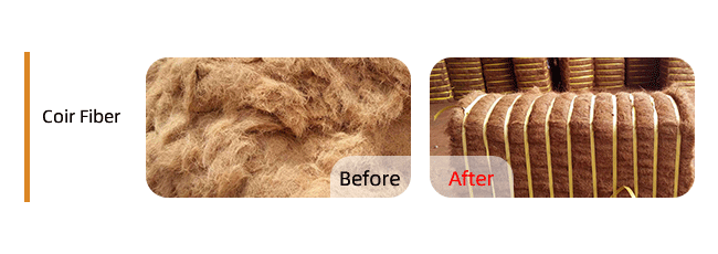 +Coir-Fiber-椰丝..png