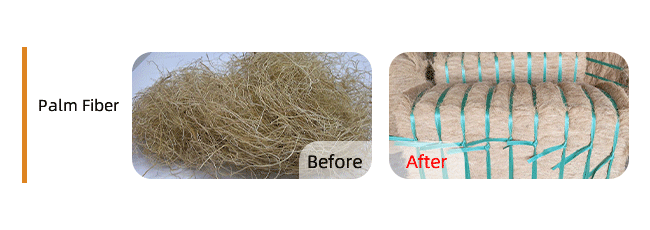 +Palm-Fiber-棕榈丝..png