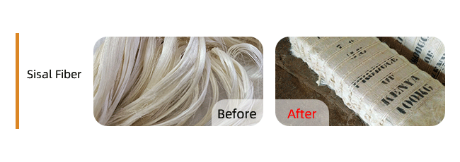 +Sisal-Fiber-剑麻..png