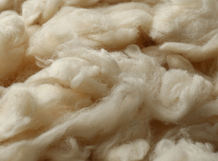 Wool Fiber