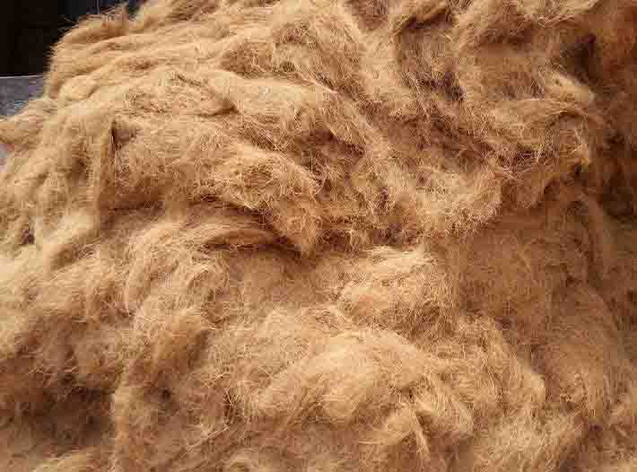 Coir Fiber