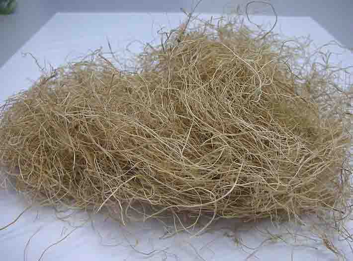 Palm Fiber