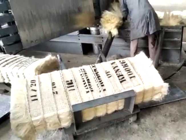 Vertical Natural Fiber