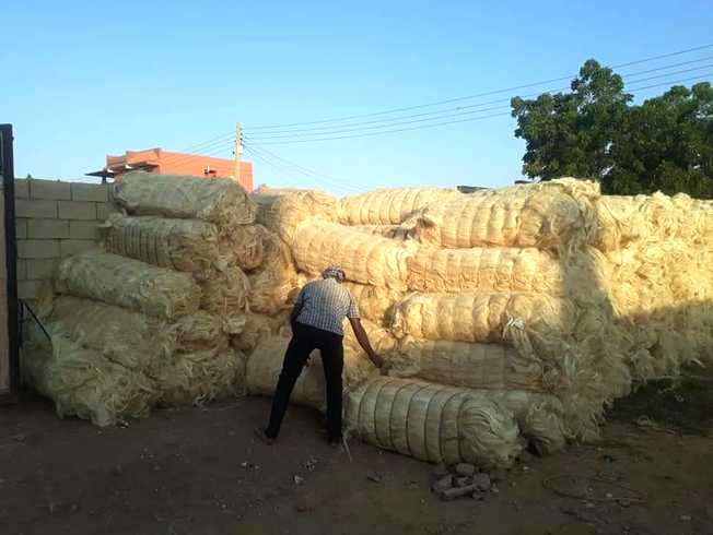 Vertical Natural Fiber