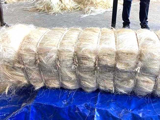 Vertical Natural Fiber